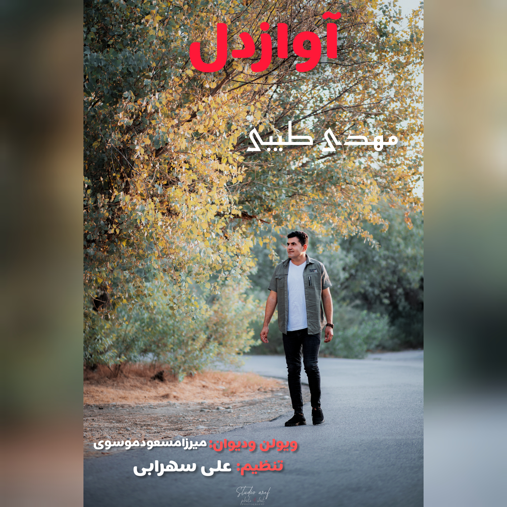 مهدی طیبی اواز دل
